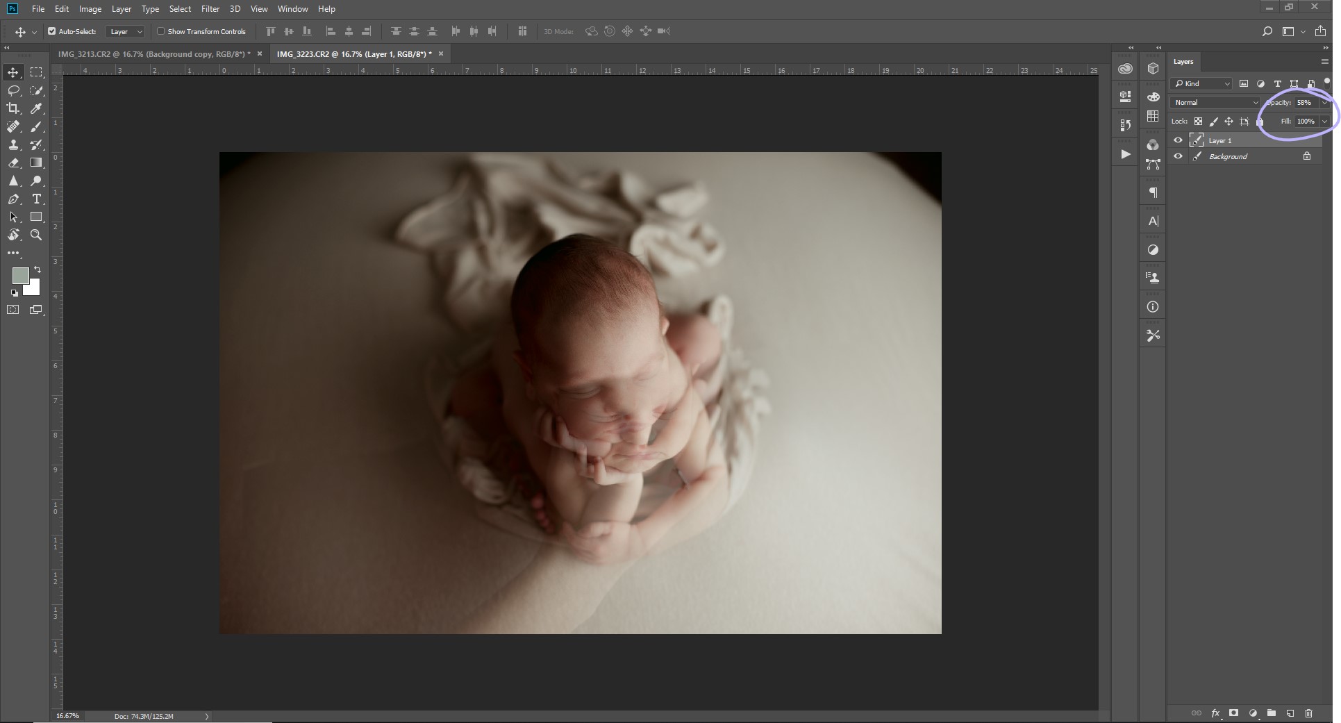 newborn photography austin tx